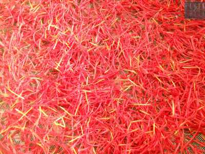 Il colore rosso fuoco dei pistilli 